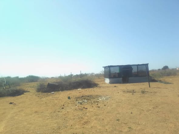 576995193_122106979491067479_2327507716999503948_n