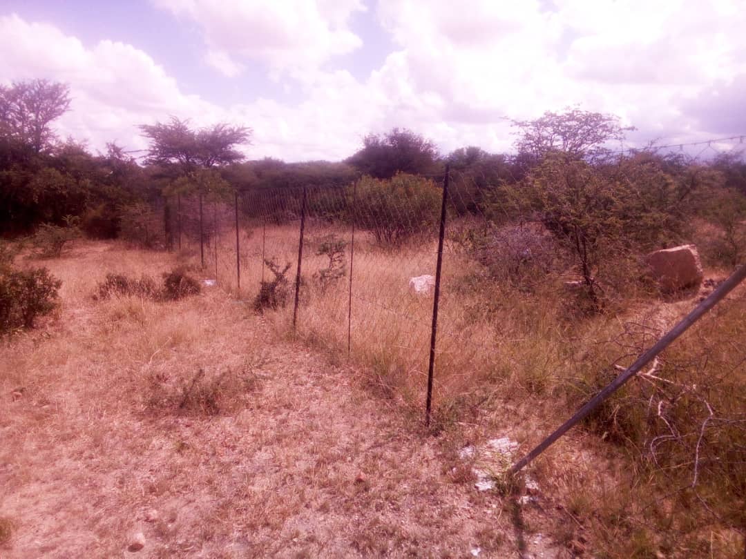 591753442_1307706814704627_8939499996077924581_n