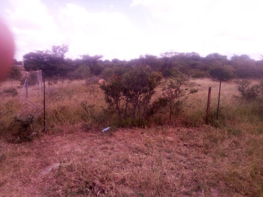 591934280_1307706888037953_7156167214602768237_n