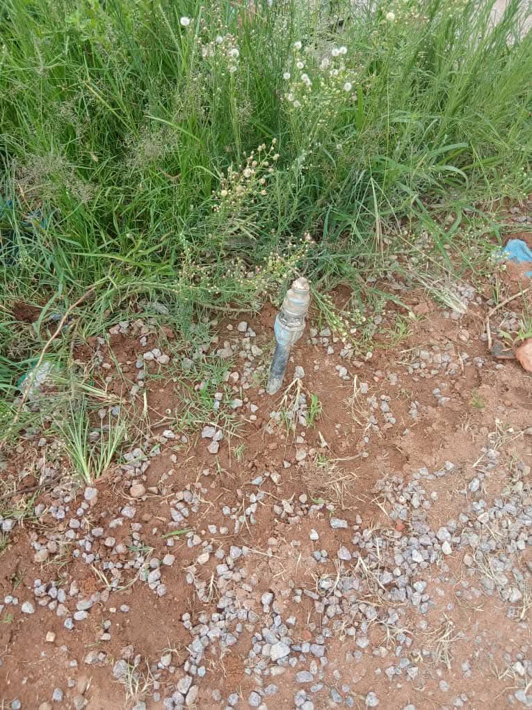 WhatsApp-Image-2026-03-13-at-12.16.40