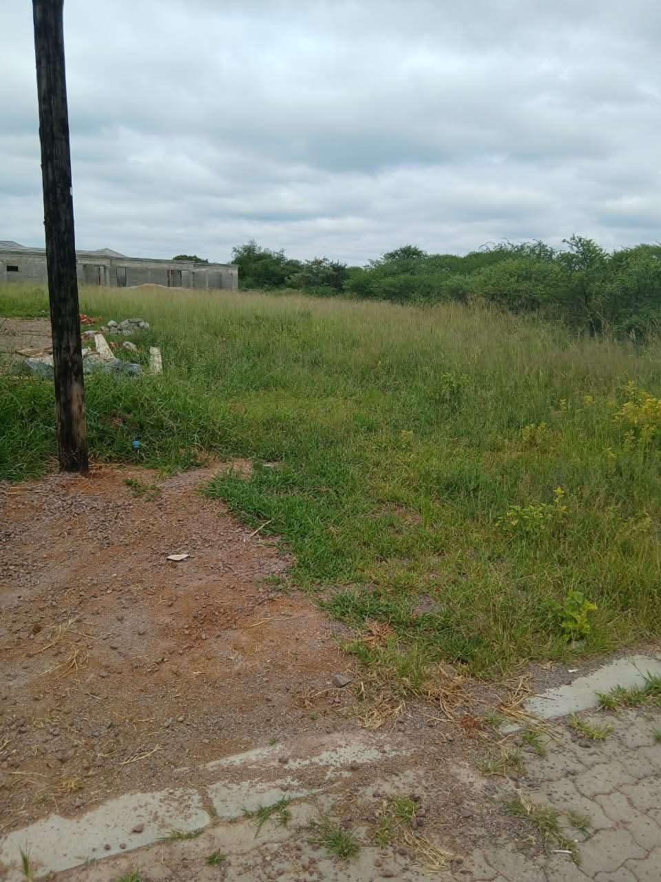 WhatsApp-Image-2026-03-13-at-12.16.41