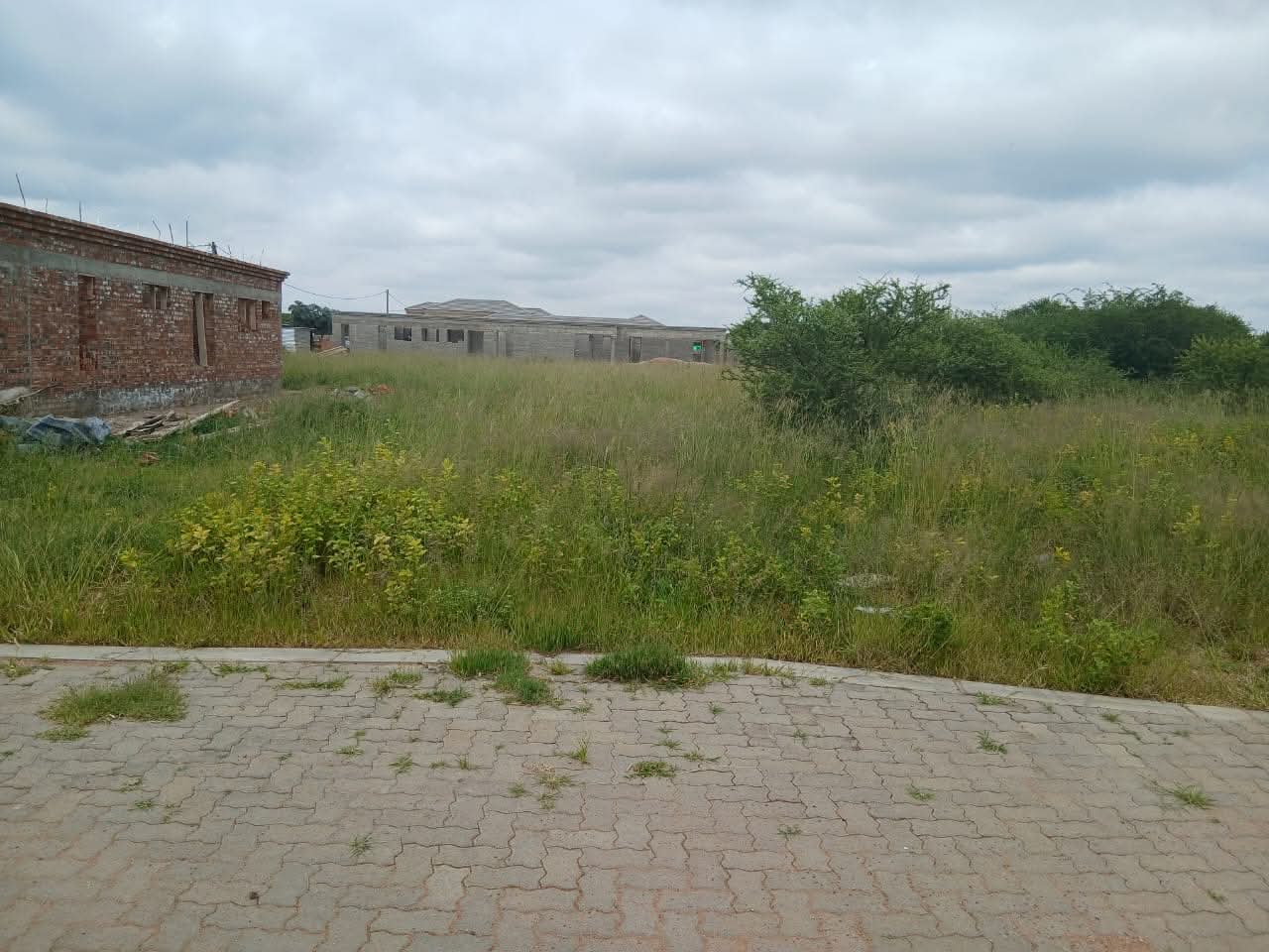 WhatsApp-Image-2026-03-13-at-12.16.42