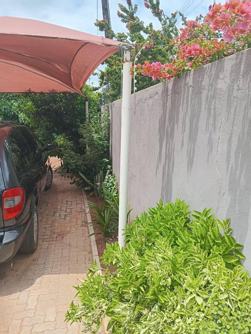 WhatsApp-Image-2026-03-17-at-06.37.26